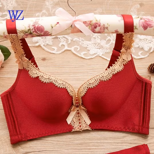 Новый дизайн бюстгальтера и сексуальных трусиков для женщин